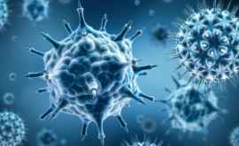 Virusul fără leac și rar care ar putea da startul unei noi epidemii