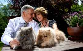 Все изза кошек Расстались а спустя более 30 лет вновь поженились