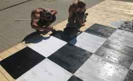 O tablă gigantă de șah va fi instalată în Căușeni FOTO 