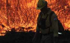 Un incendiu puternic de vegetație amenință statul american New Mexico