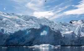 Antarctica se topește întrun ritm alarmant