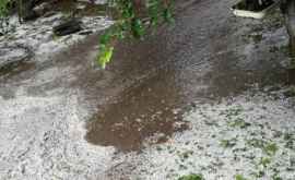 В Токузе Каушанского района дождь затопил домохозяйства ФОТО