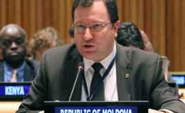 Экспосол Молдовы в ООН раскритиковал проект о выводе российских войск