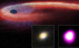 Астрономы увидели как черная дыра крошит звезду