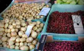 Сколько стоят сегодня фрукты и овощи на Центральном рынке