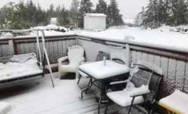 Канаду неожиданно засыпало снегом ФОТО