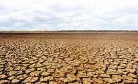 Țara care a decretat stare de calamitate agricolă din cauza secetei