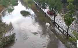 Rîul Bîc a ieşit din matcă Inundaţii pe Albişoara VIDEO 