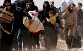 Более 200 000 сирийцев покинули свои дома изза боевых действий на юге страны