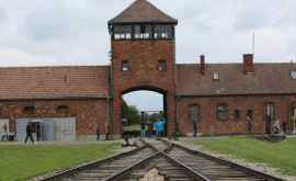 Turiști condamnați la închisoare după ce au furat cărămizi de la Auschwitz