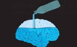 Un pahar cu apă face creierul să funcționeze cu 14 mai eficient