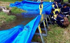Мобильная плотина для борьбы с наводнениями ВИДЕО