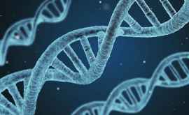 Метод способный привести к разрушению ДНК