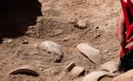 Археологи используют новый метод анализа изображений для поиска древних курганов