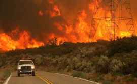 Incendiu de vegetaţie în California