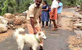 В Индии собака спасла от смерти целую семью