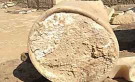 Din ce este compusă cea mai veche brînză găsită în Egipt
