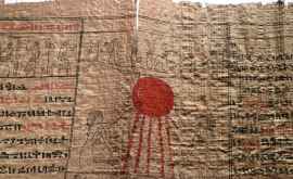 Расшифрованные египетские папирусы поведали интересные подробности об античной медицине