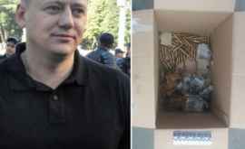 Задержанного на Украине активиста DA поместили под арест