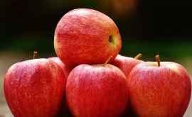 У фермеров возникли опасения в связи с богатым урожаем яблок в этом году 
