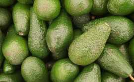 Ученые заплатят 300 желающим каждый день съедать авокадо