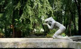 Parcul D Ch Rodin din satul Cioburciu Ciobruci Foto