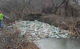 Десятки волонтеров очистили реку Бык