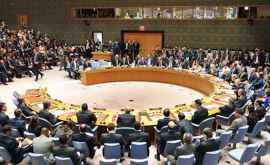 СБ ООН планирует обсудить в пятницу ситуацию в Идлибе