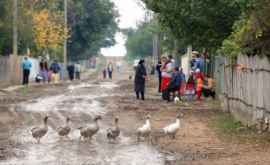 Doar fiecare al patrulea moldovean are acces la rețele de canalizare