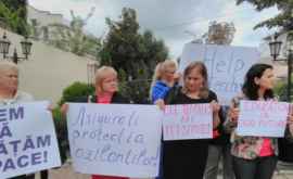 Работники лицея Оризонт просят помощи у иностранных дипмиссий в Кишиневе