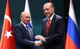 Путин и Эрдоган встретятся 17 сентября в Сочи