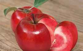В Молдове создан сорт яблок с красной мякотью ФОТО