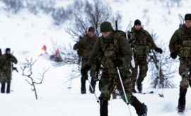 Голландские военные замерзли на учениях в Норвегии