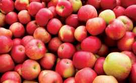 Министр сельского хозяйства В этом году собрано 500 тыс тонн яблок