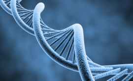 Разработан механизм предсказывающий рост и образование по ДНК