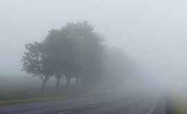 Atenție șoferi În toată țara se circulă în condiții de ceață