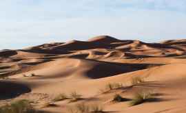 Женщина выжила проведя 6 дней в пустыне после ДТП