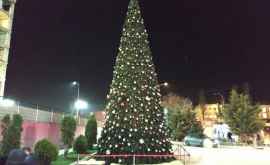 В Кишиневе появилась первая новогодняя елка