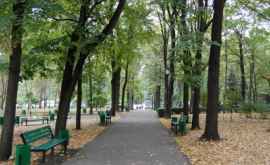Locuitorii capitalei sînt îndemnați să contribuie la restaurarea Parcului Central