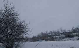 Ninge frumos în Moldova La o benzinărie a apărut primul om de zăpadă FOTO 
