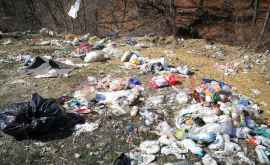 Amenzi usturătoare pentru moldovenii care au aruncat gunoiul la nimereală