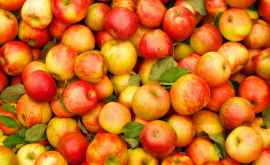 В Россию не пропустили 20 тонн яблок из Молдовы