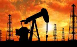 Statele OPEC în căutarea metodelor de micşorare a producţiei de petrol