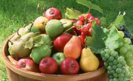 Молдавские фрукты могут экспортироваться в любой уголок мира