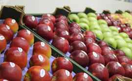 Компании Молдовы отправили вторую партию яблок на рынок ОАЭ