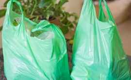Interdicția privind pungile de plastic a intrat în vigoare dar numai pe hîrtie