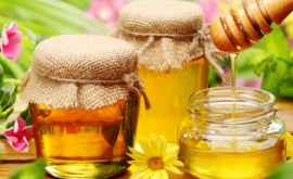 Mierea de albini din Republica Moldova cerută în UE