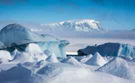 Под километровым слоем льда в Антарктиде найдены наземные существа