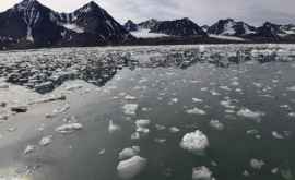 O bacteria găsită în Arctic ar putea ucide milioane de oameni