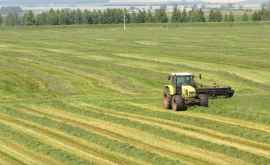 Аграрии Молдовы могут подавать заявки на субсидии за 2019 г